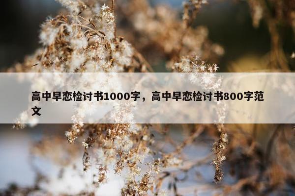 高中早恋检讨书1000字，高中早恋检讨书800字范文
