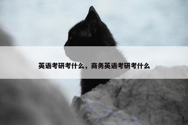 英语考研考什么，商务英语考研考什么