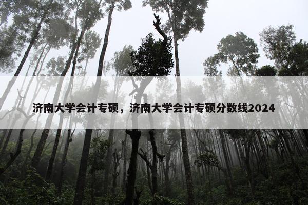 济南大学会计专硕，济南大学会计专硕分数线2024