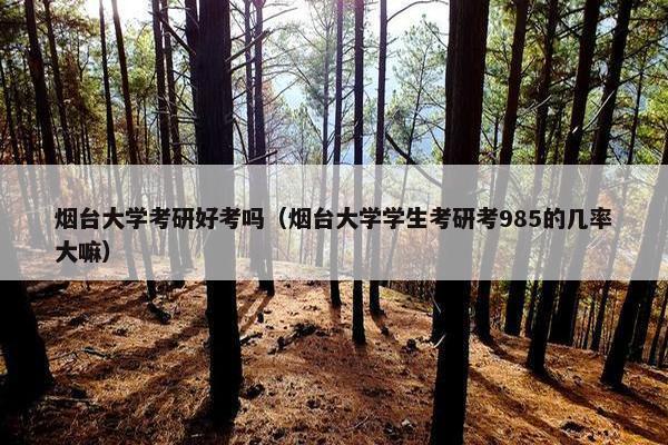 烟台大学考研好考吗（烟台大学学生考研考985的几率大嘛）