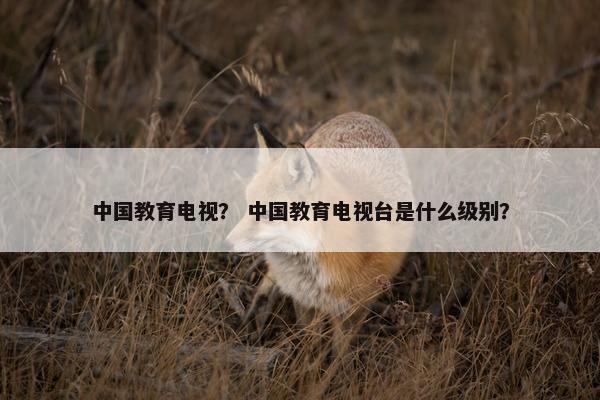 中国教育电视？ 中国教育电视台是什么级别？