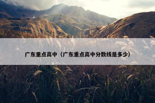 广东重点高中（广东重点高中分数线是多少）