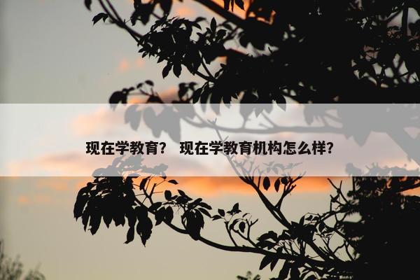 现在学教育？ 现在学教育机构怎么样？