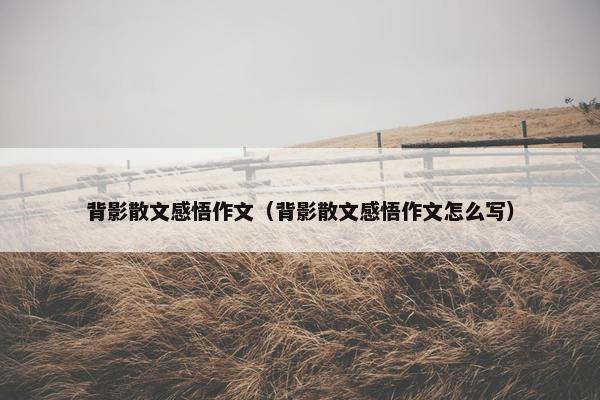 背影散文感悟作文（背影散文感悟作文怎么写）