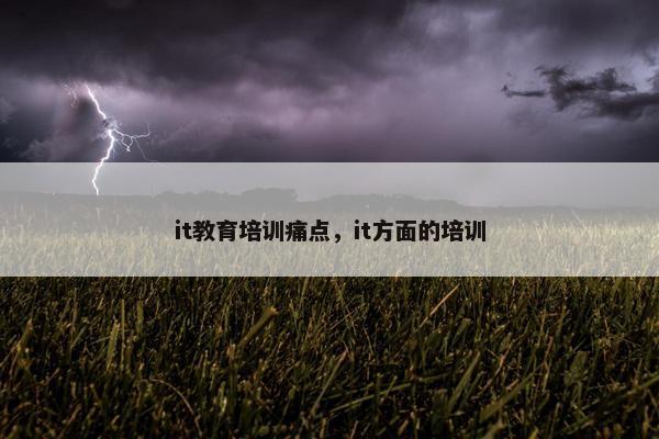 it教育培训痛点，it方面的培训