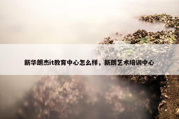 新华朗杰it教育中心怎么样，新朗艺术培训中心