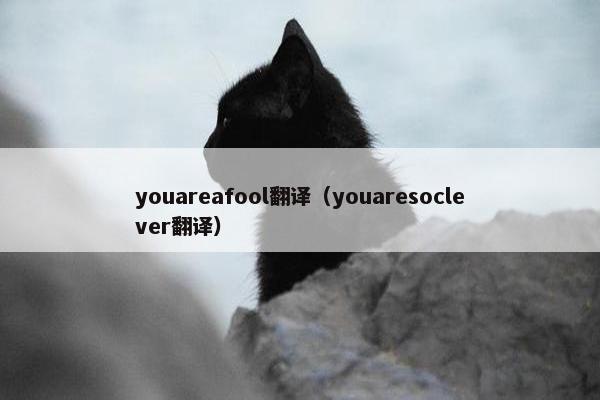 youareafool翻译（youaresoclever翻译）