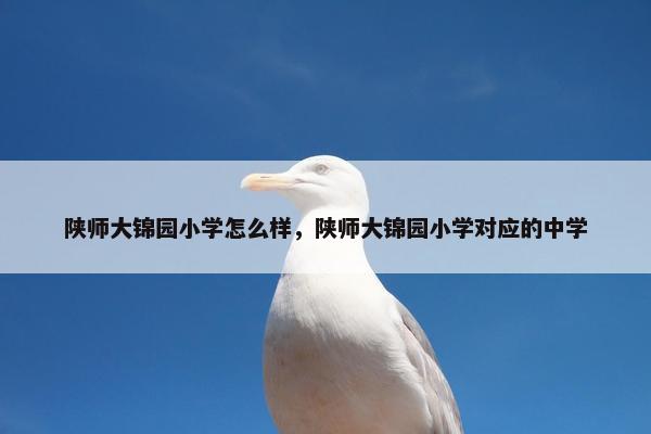 陕师大锦园小学怎么样，陕师大锦园小学对应的中学