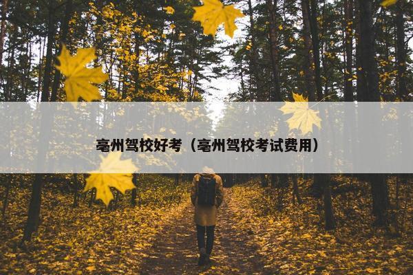 亳州驾校好考（亳州驾校考试费用）