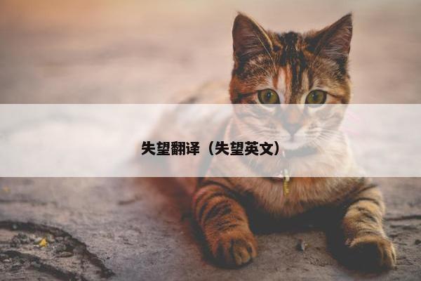 失望翻译（失望英文）