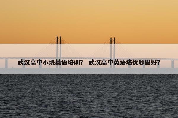 武汉高中小班英语培训？ 武汉高中英语培优哪里好？
