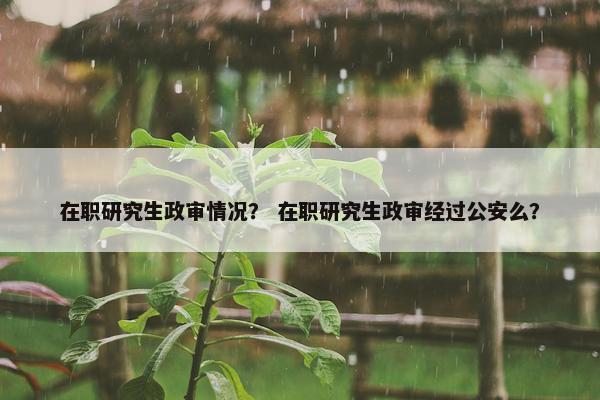 在职研究生政审情况？ 在职研究生政审经过公安么？