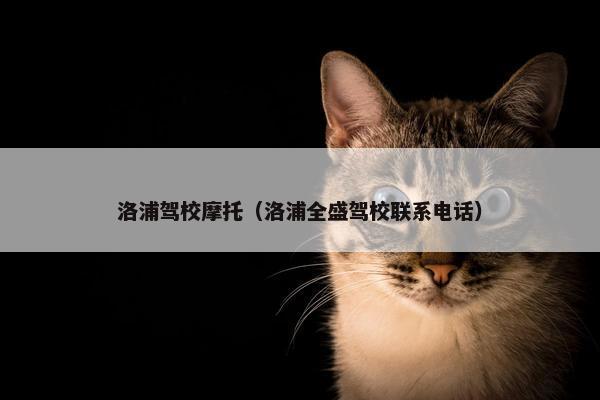 洛浦驾校摩托（洛浦全盛驾校联系电话）