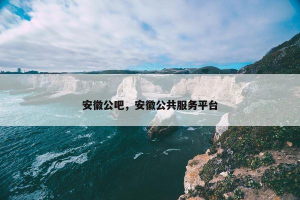 安徽公吧，安徽公共服务平台
