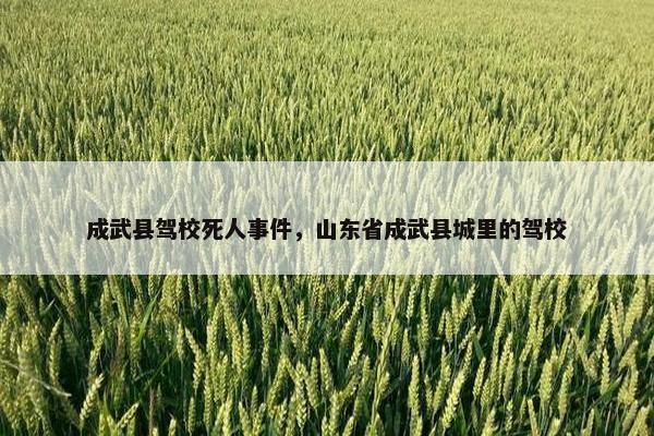 成武县驾校死人事件，山东省成武县城里的驾校