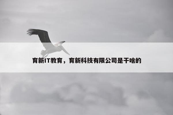 育新IT教育，育新科技有限公司是干啥的