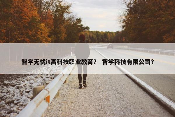 智学无忧it高科技职业教育？ 智学科技有限公司？