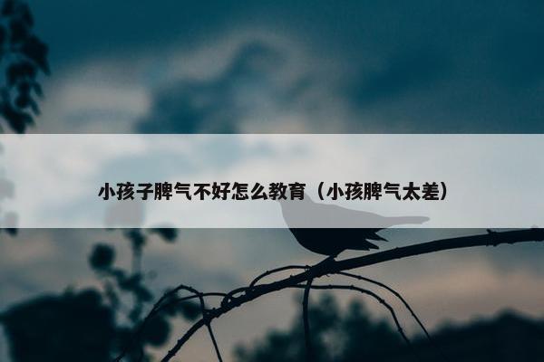 小孩子脾气不好怎么教育（小孩脾气太差）