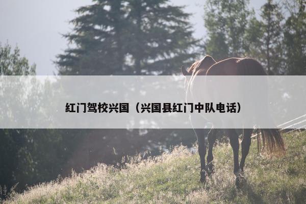 红门驾校兴国（兴国县红门中队电话）