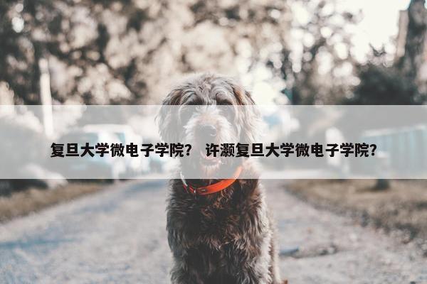 复旦大学微电子学院？ 许灏复旦大学微电子学院？