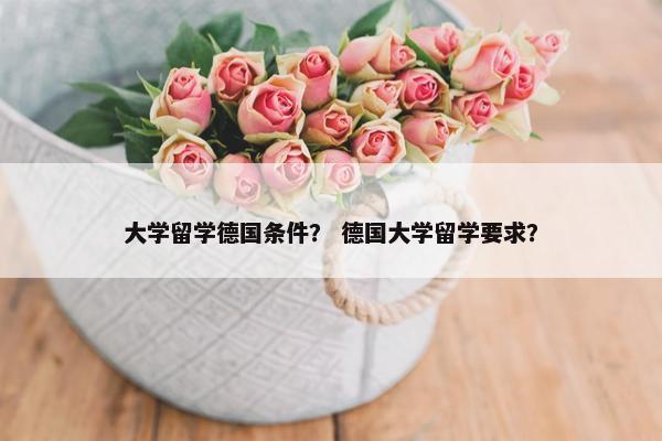 大学留学德国条件？ 德国大学留学要求？