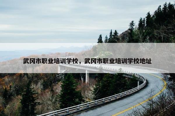 武冈市职业培训学校，武冈市职业培训学校地址