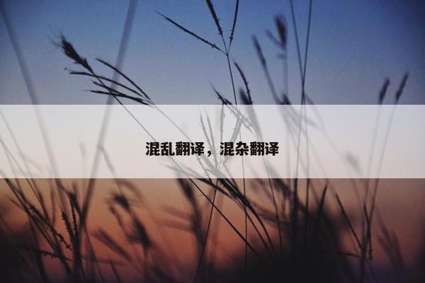 混乱翻译，混杂翻译