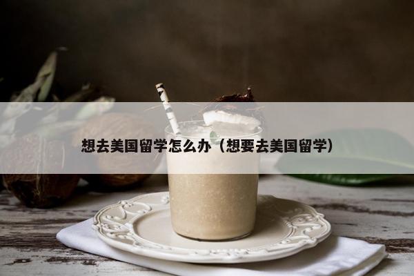 想去美国留学怎么办（想要去美国留学）