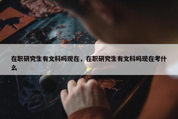 在职研究生有文科吗现在，在职研究生有文科吗现在考什么