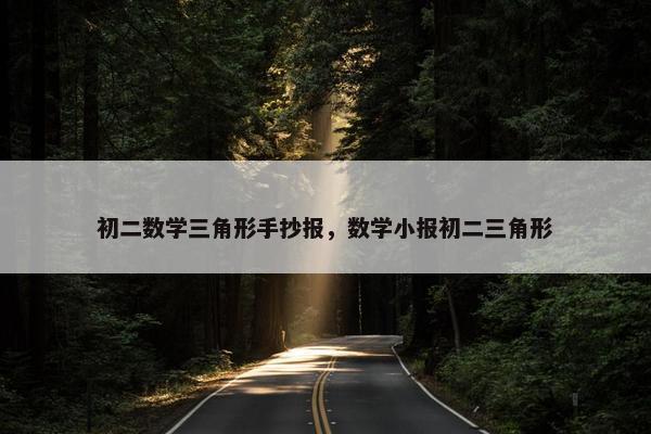 初二数学三角形手抄报，数学小报初二三角形