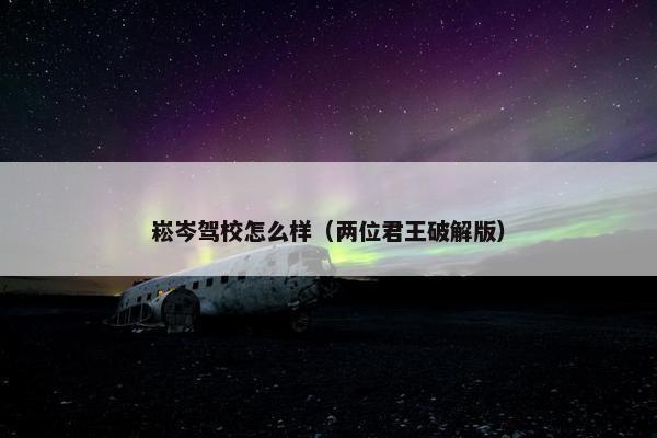 崧岑驾校怎么样（两位君王破解版）