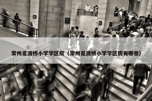 常州觅渡桥小学学区房（常州觅渡桥小学学区房有哪些）