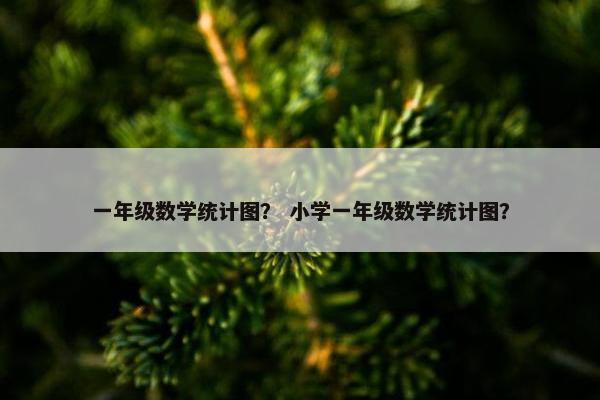 一年级数学统计图？ 小学一年级数学统计图？