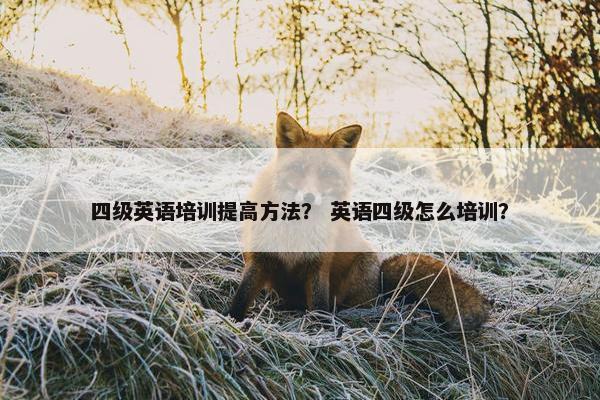 四级英语培训提高方法？ 英语四级怎么培训？