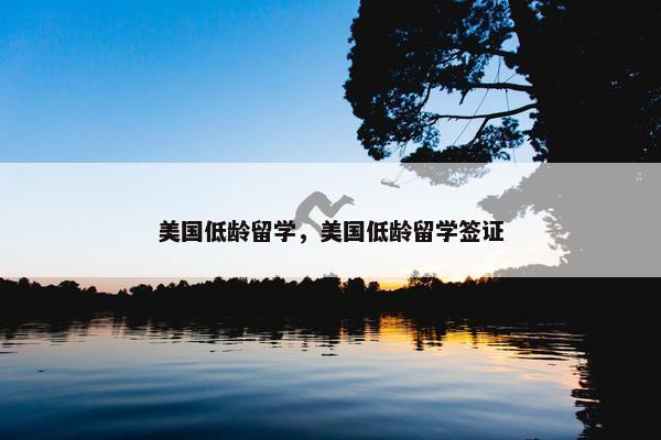 美国低龄留学，美国低龄留学签证