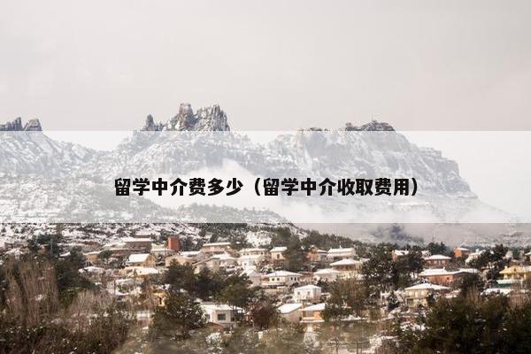 留学中介费多少（留学中介收取费用）
