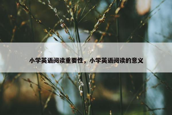 小学英语阅读重要性，小学英语阅读的意义