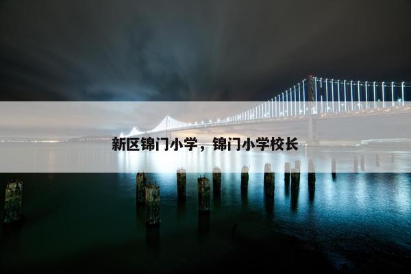 新区锦门小学，锦门小学校长
