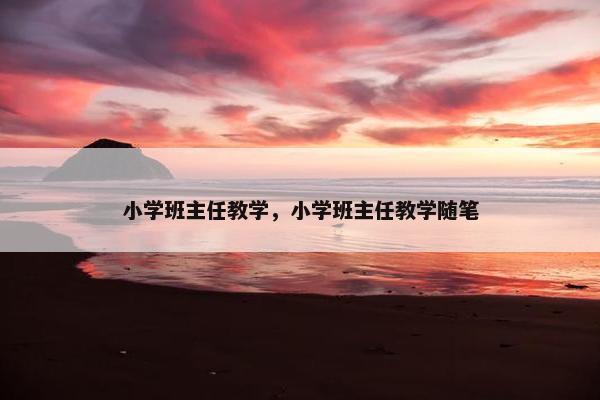 小学班主任教学，小学班主任教学随笔