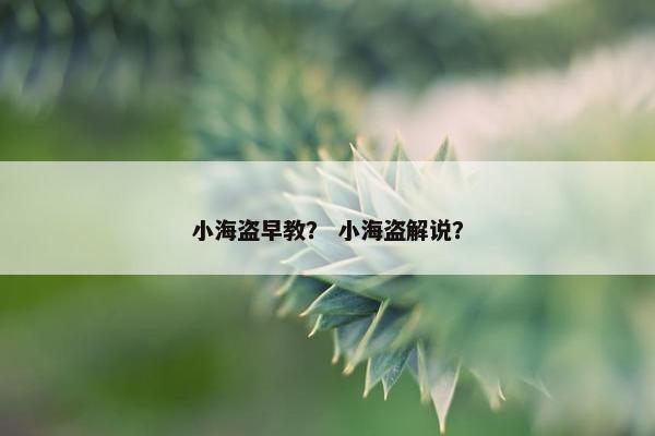 小海盗早教？ 小海盗解说？