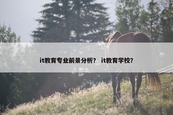 it教育专业前景分析？ it教育学校？