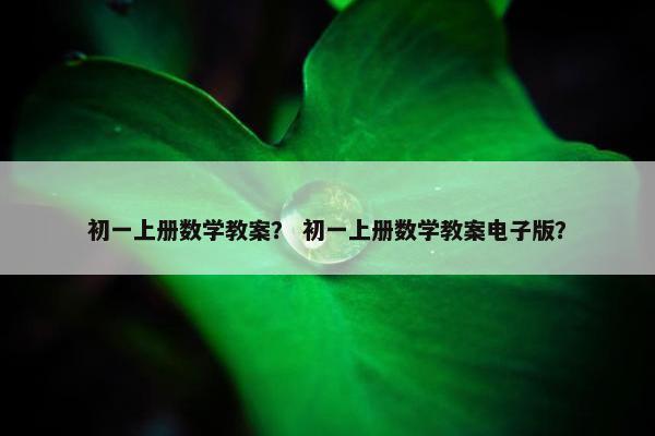 初一上册数学教案？ 初一上册数学教案电子版？