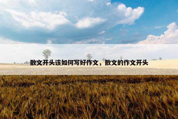 散文开头该如何写好作文，散文的作文开头
