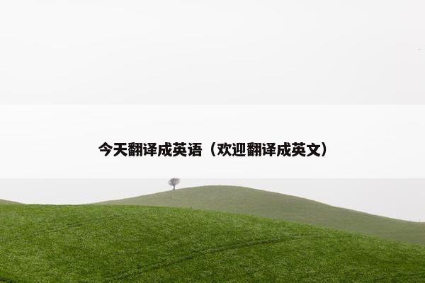 今天翻译成英语（欢迎翻译成英文）