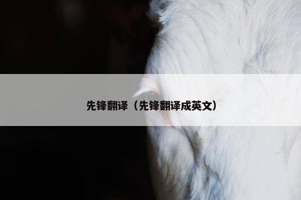 先锋翻译（先锋翻译成英文）