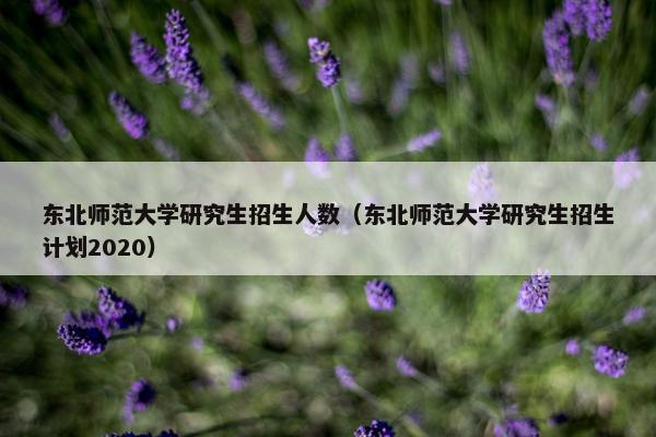 东北师范大学研究生招生人数（东北师范大学研究生招生计划2020）