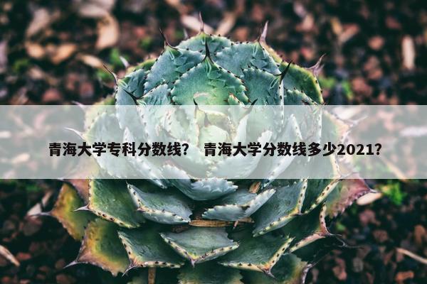 青海大学专科分数线？ 青海大学分数线多少2021？