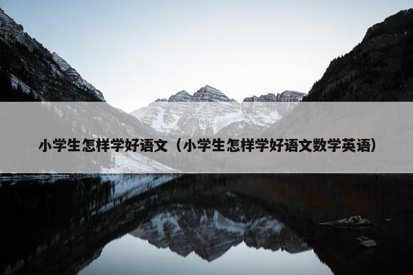 小学生怎样学好语文（小学生怎样学好语文数学英语）