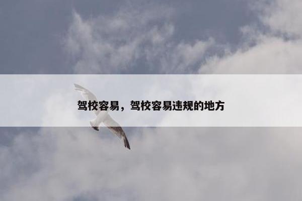 驾校容易，驾校容易违规的地方