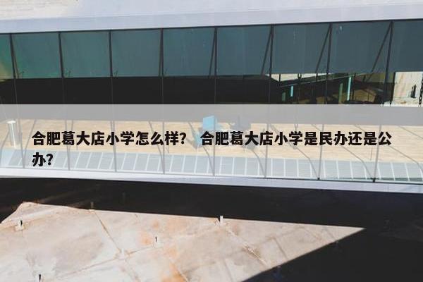合肥葛大店小学怎么样？ 合肥葛大店小学是民办还是公办？